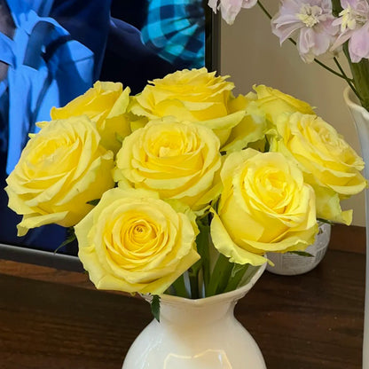 Beach Romance Florist Shrub Rose