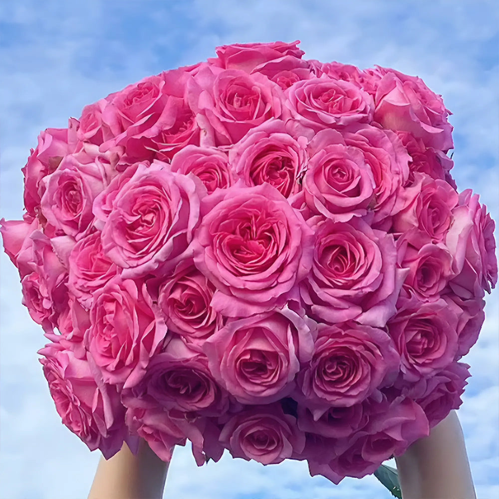 Bernadette Lafont French Florist Shrub Rose