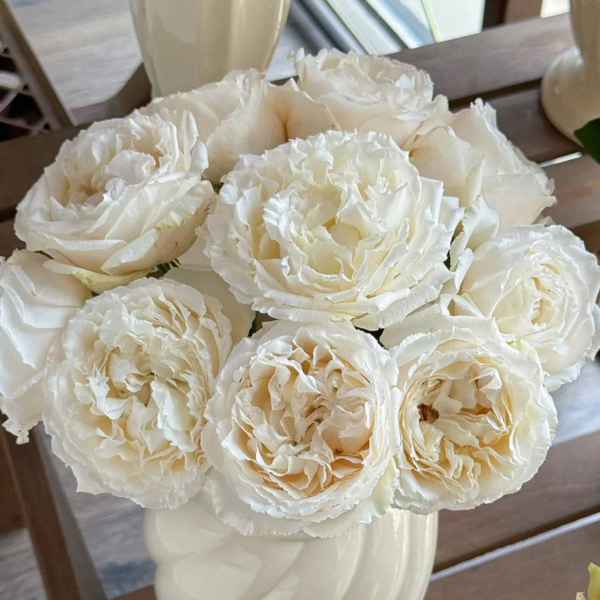 Blanche Neige Japanese Florist Shrub Rose – Highgarden Roses