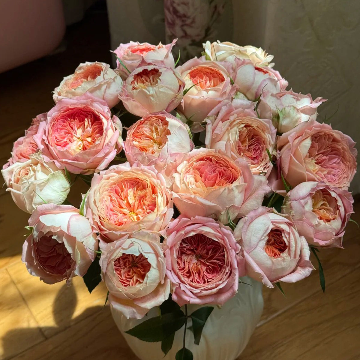 Rose rose様　ありがとうございます Candy Antike German Florist Shrub Rose – Highgarden Roses