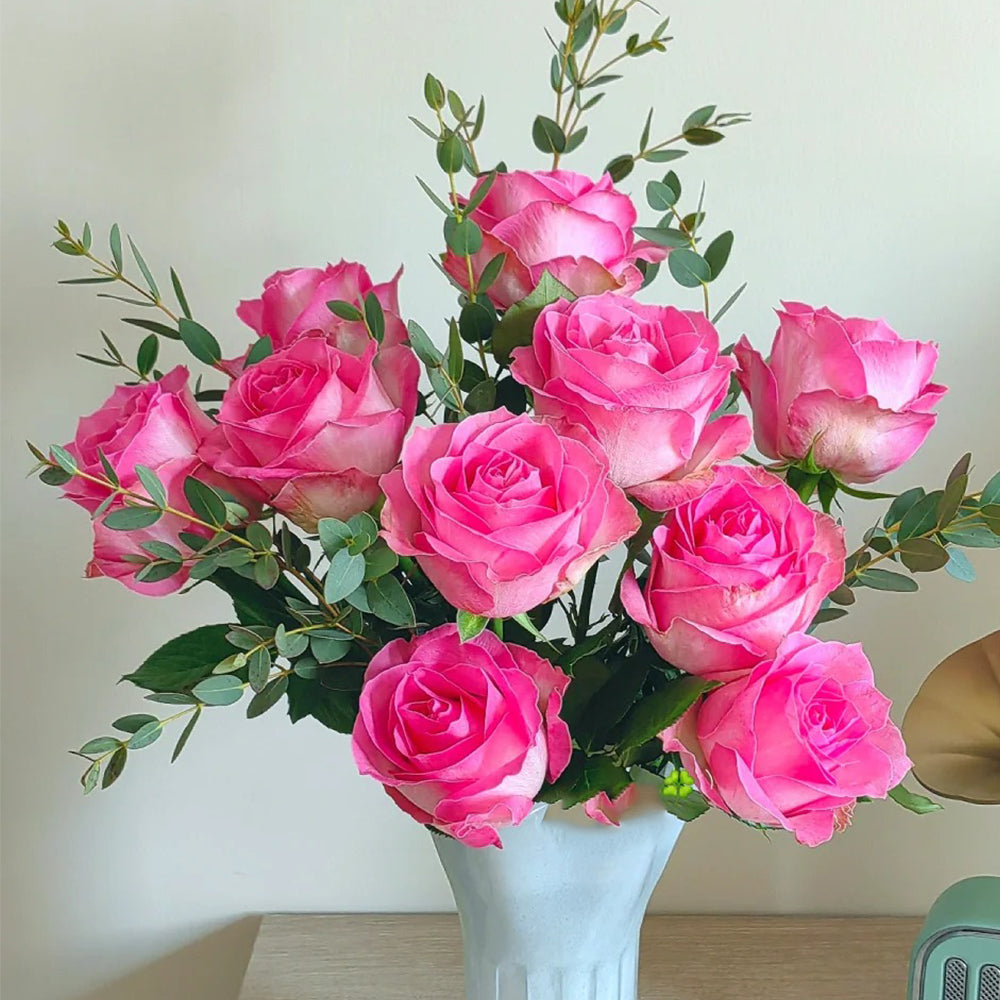 Candy Avalanche Netherlands Florist Shrub Rose