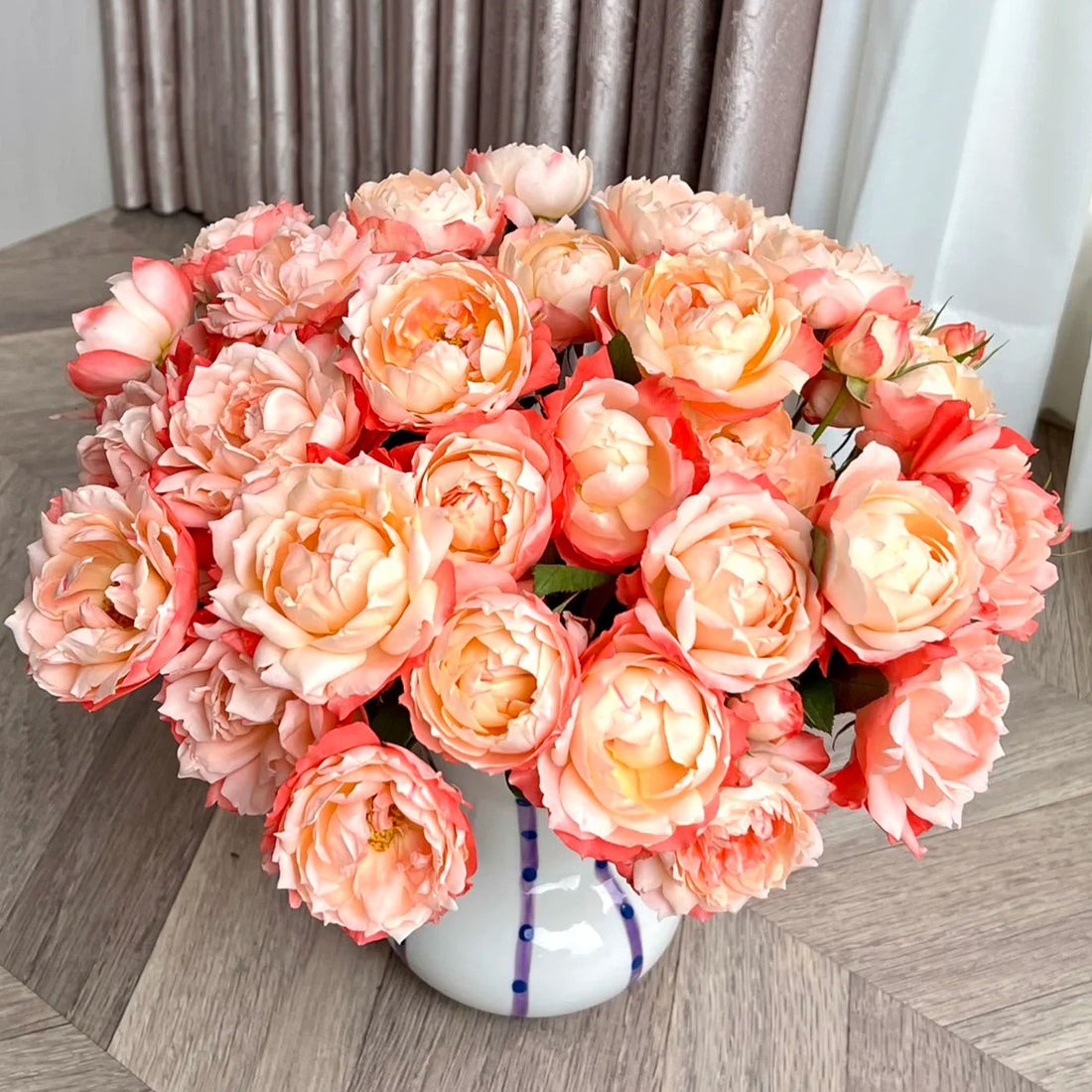 Chance Pom Japanese Florist Shrub Rose