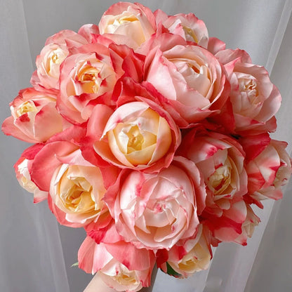 Chance Pom Japanese Florist Shrub Rose