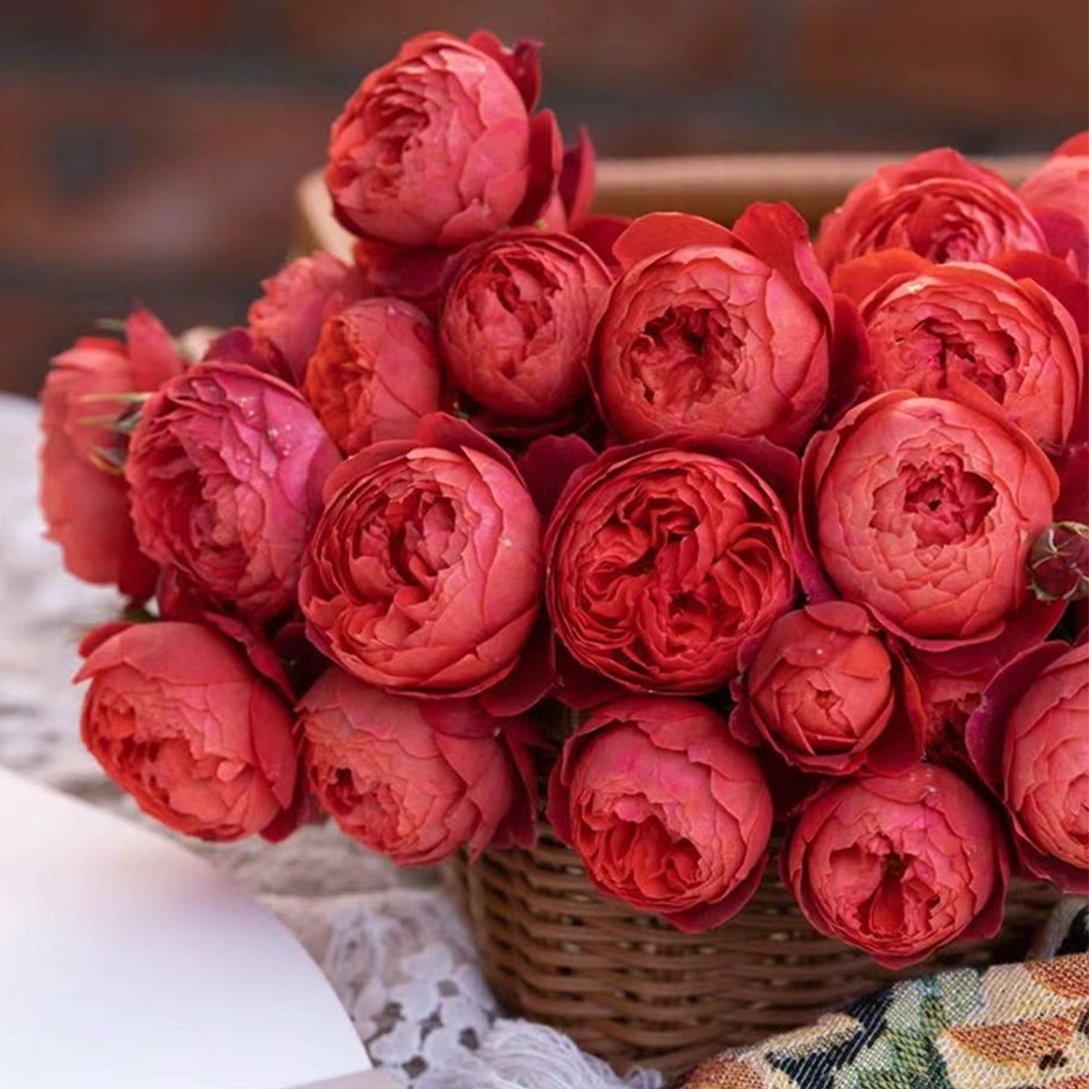 Jun吉＆ROSESさま専用rice28 Assorted Summer Roses in Walpole MA - Flowers & More Design