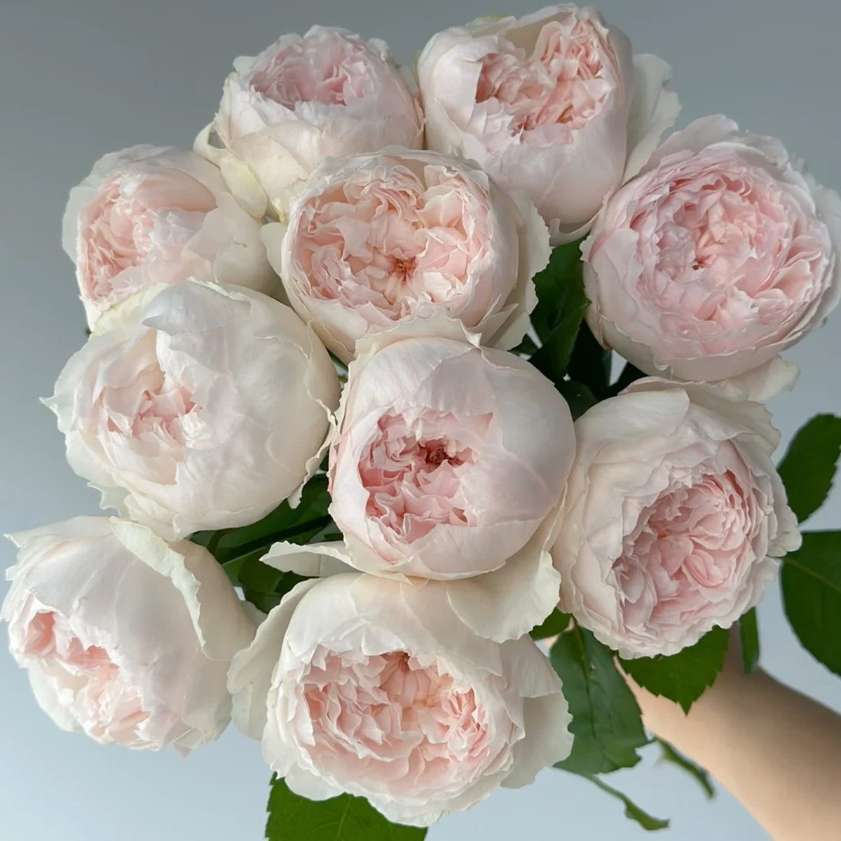 要コメ欄確認rose rose様用（3/20、23:59迄） 784c52de6b911cc2f90dd7874ead78