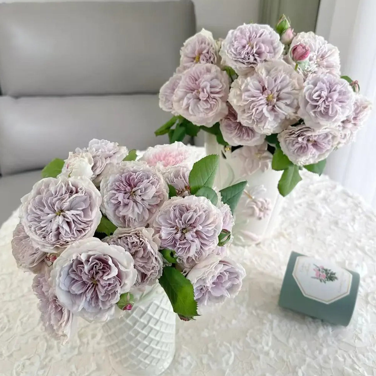 Color of Jupiter Japanese Florist Shrub Rose