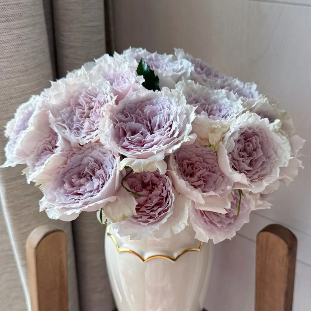 Floating Moon Chinese Florist Shrub Rose