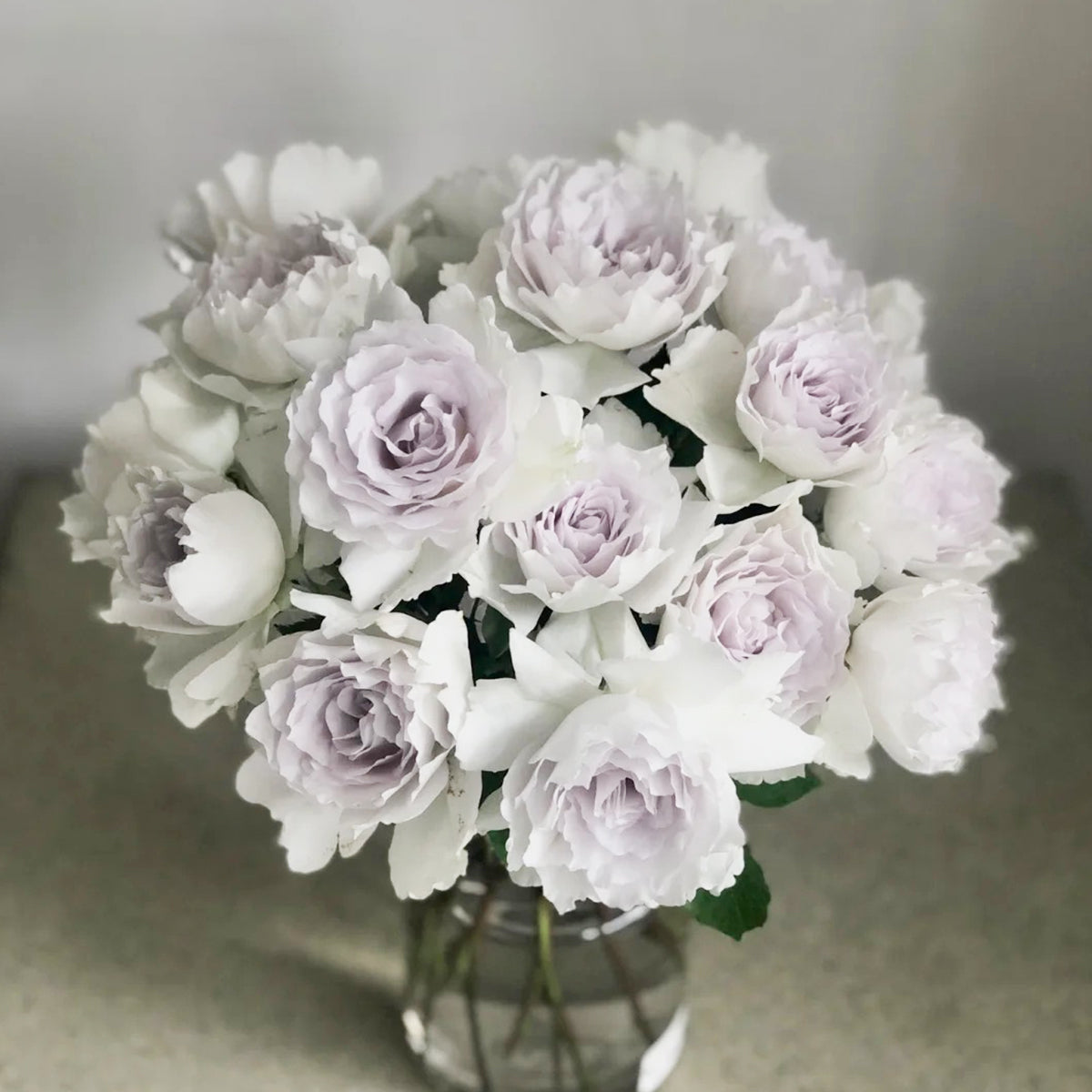 Premium Japanese garden and florist rose bushes | Kawamoto