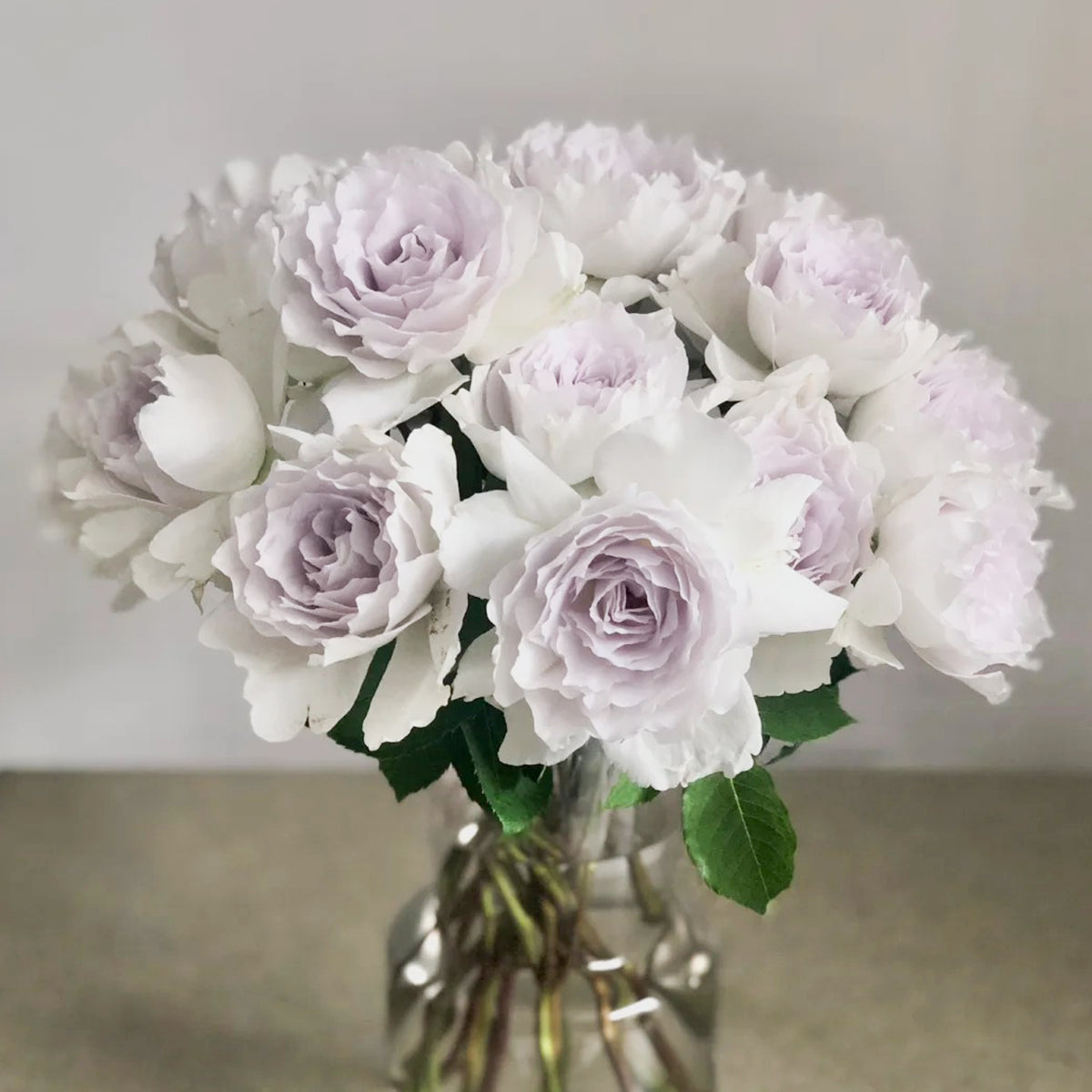 Gabriel Japanese Garden Shrub Rose – Highgarden Roses