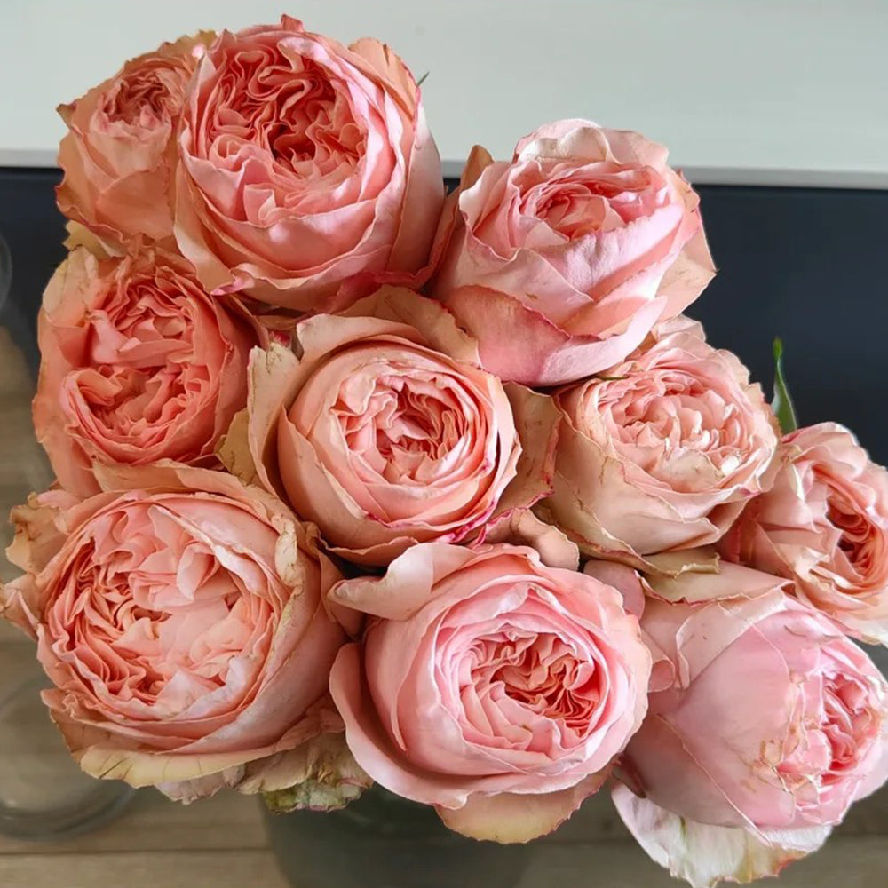 French Florist Shrub Rose Inspired by Garden Fashion For Sale