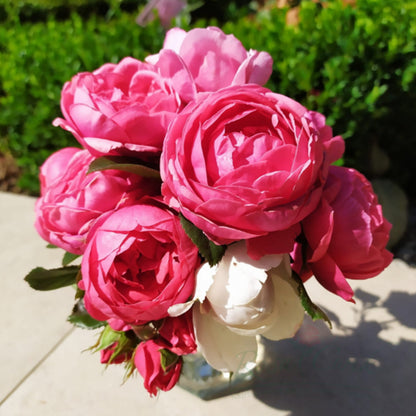 Gartenprinzessin Marie-José German Florist Shrub Rose