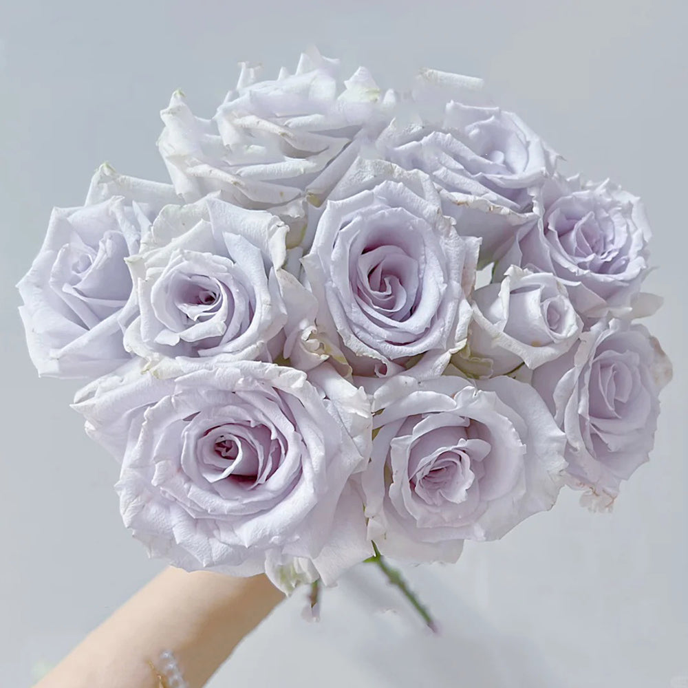 Grawn Blue Japanese Florist Hybrid Tea Rose Bush For Sale – Highgarden ...