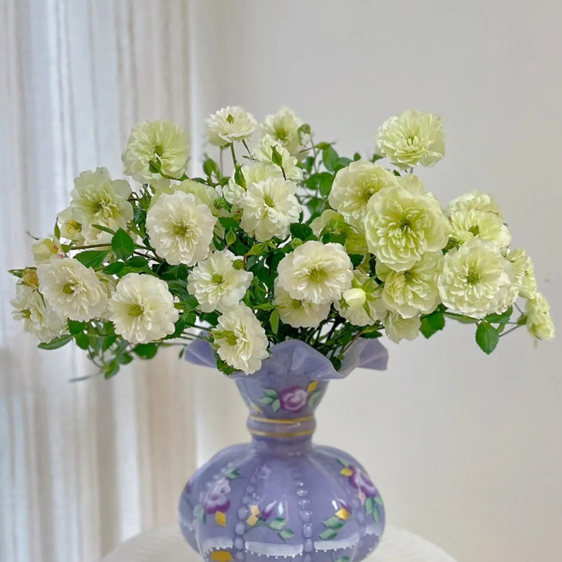 Green Ice American Florist Shrub Rose