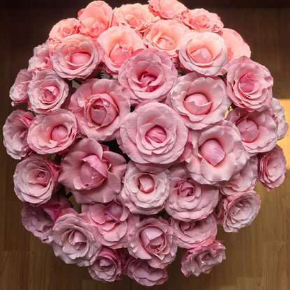 Harmonie French Florist Shrub Rose