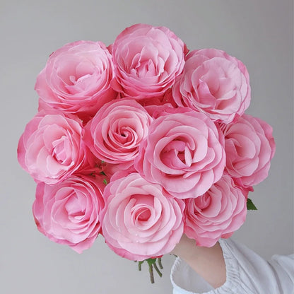 Harmonie French Florist Shrub Rose