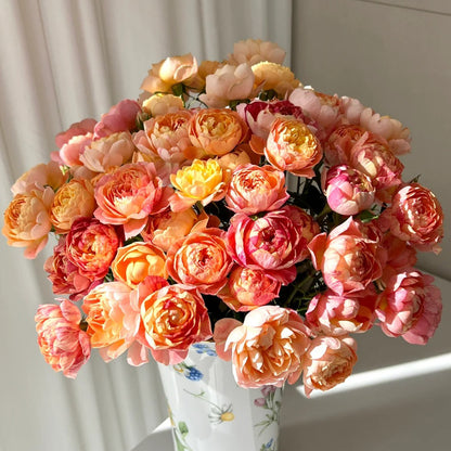 Juice Splash Florist Shrub Rose