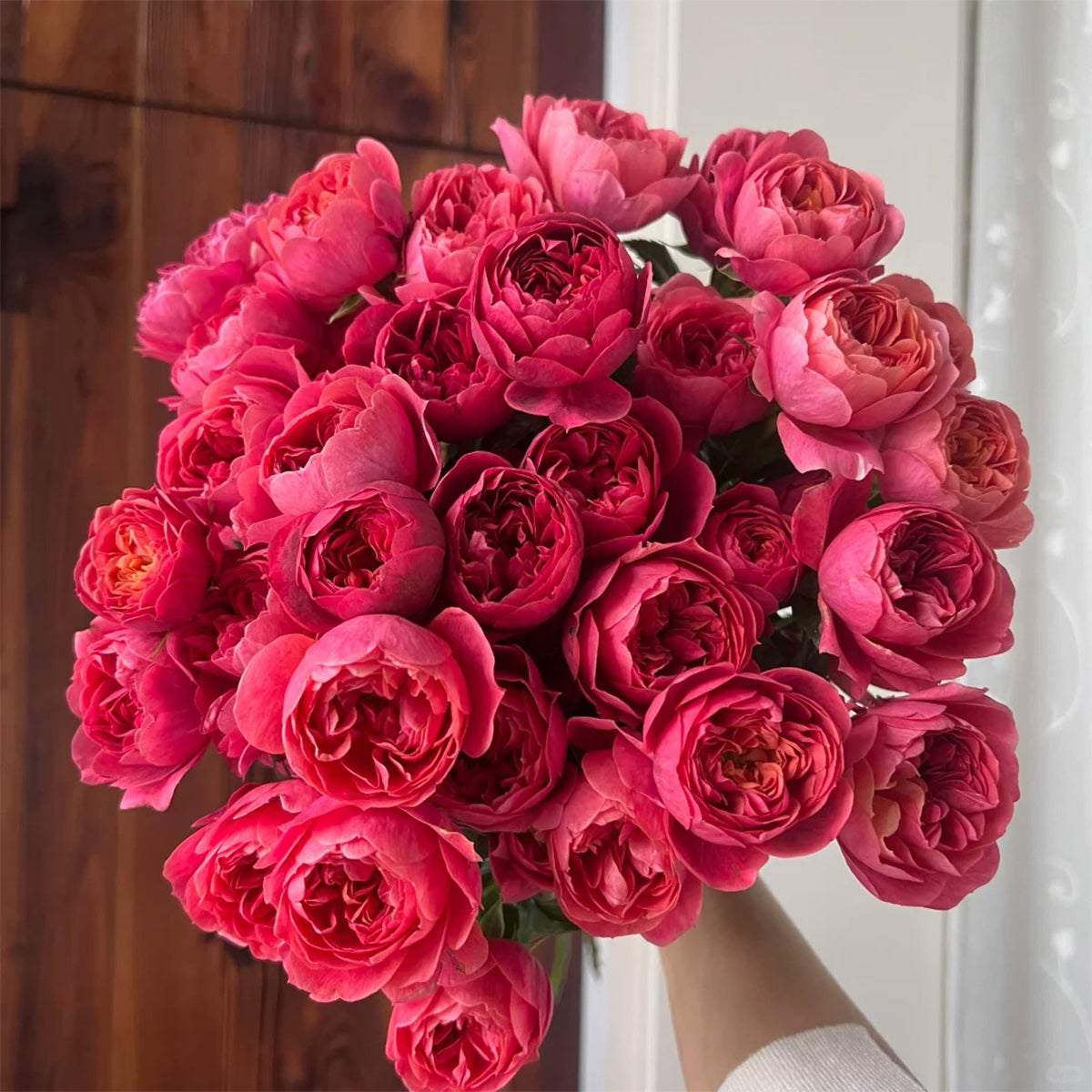 Chinese Jumbo Roses Juicy Beauty Chinese Florist Shrub Rose Bush For Sale – Highgarden Roses