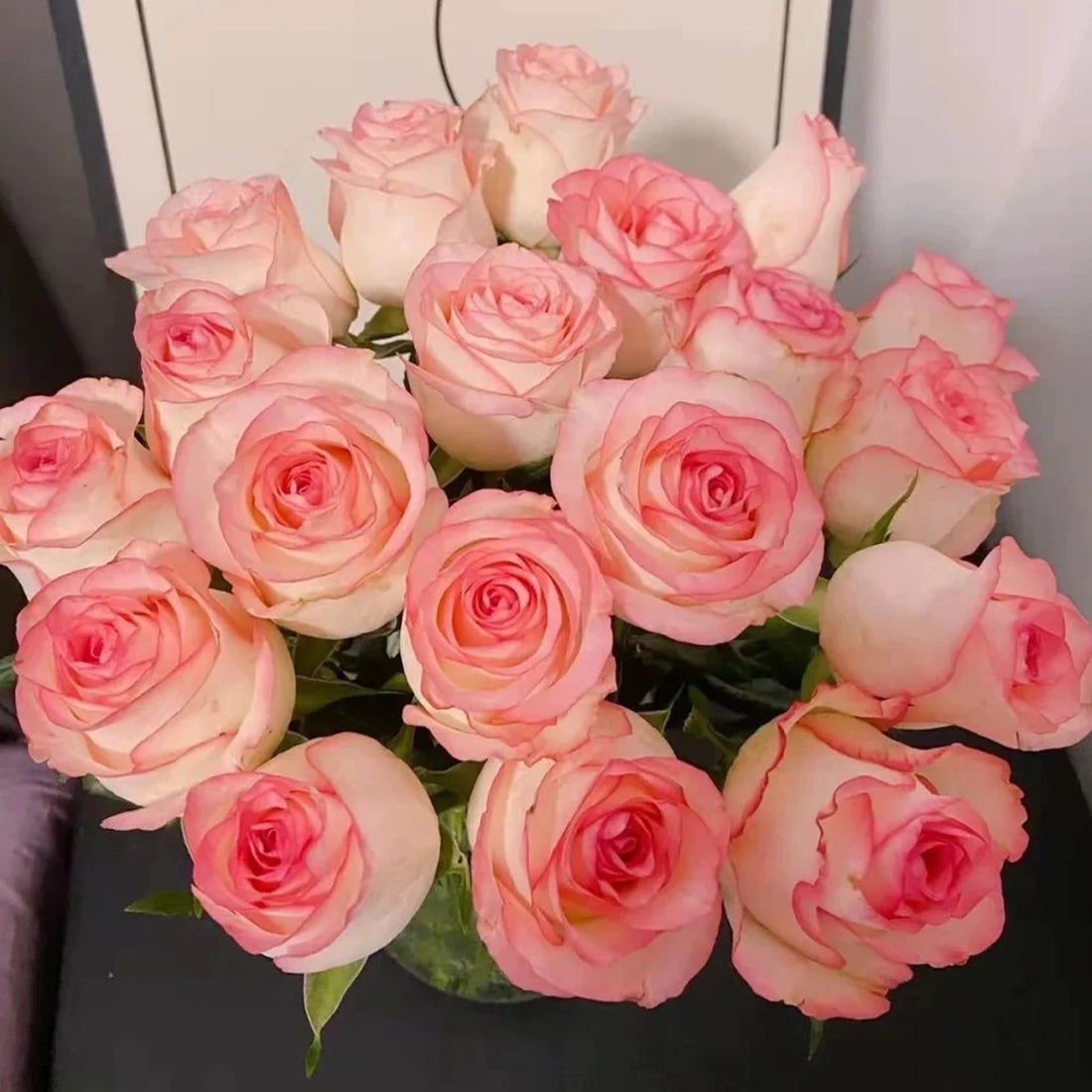 Jumilia Netherlands Florist Shrub Rose