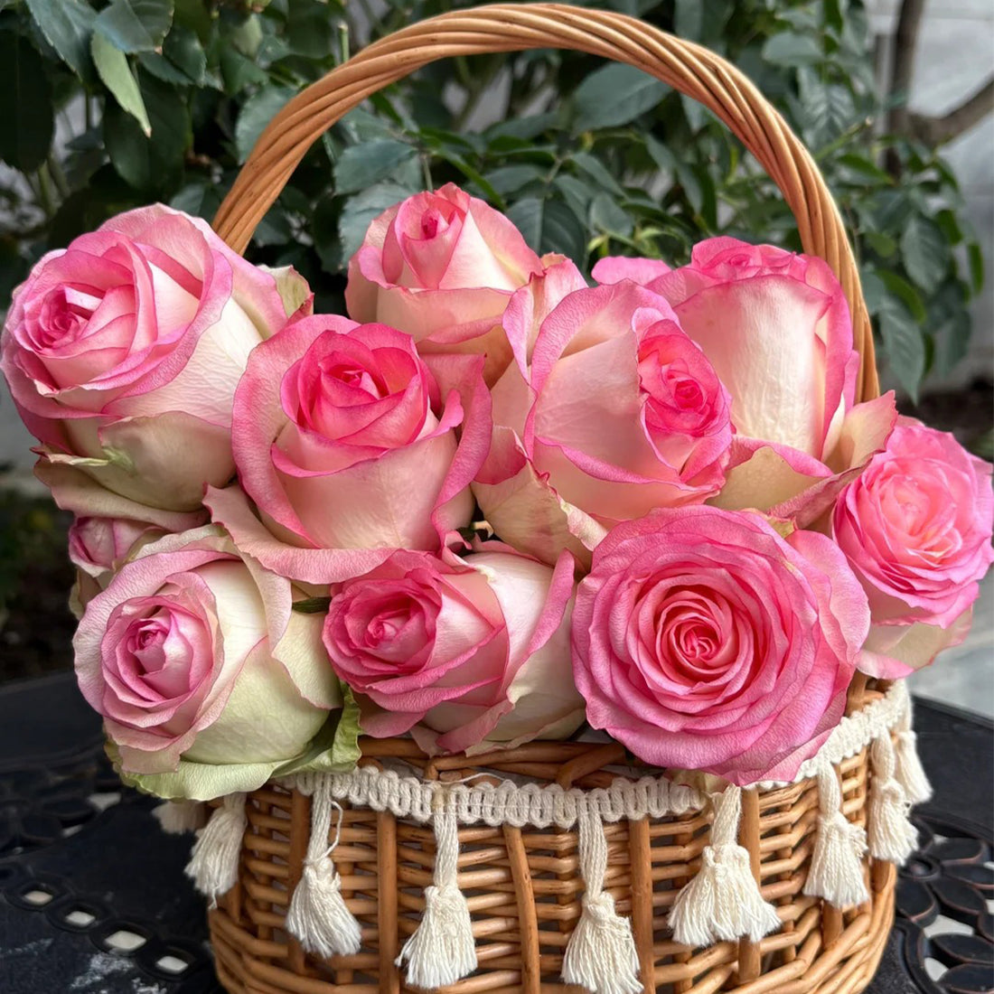 Jumilia Netherlands Florist Shrub Rose