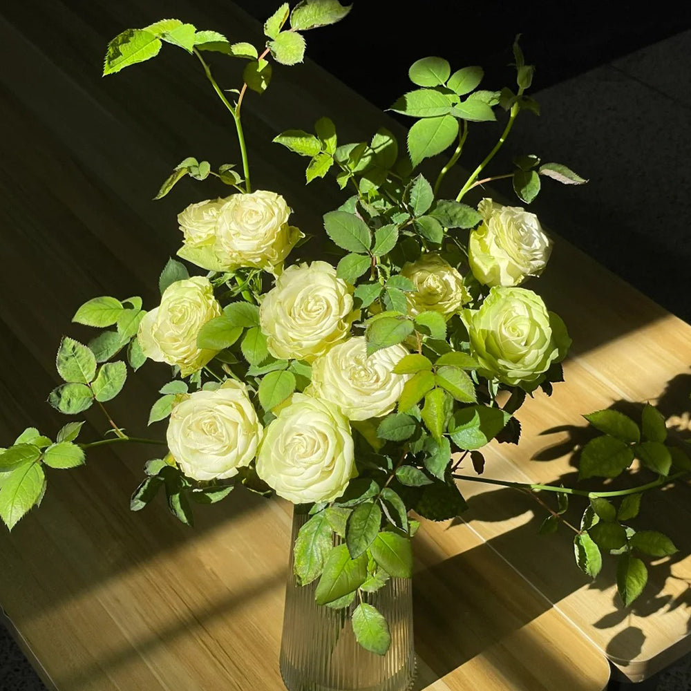 Jutta Netherlands Florist Shrub Rose
