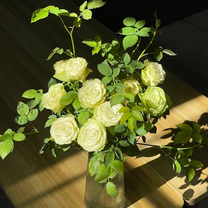 Jutta Netherlands Florist Shrub Rose