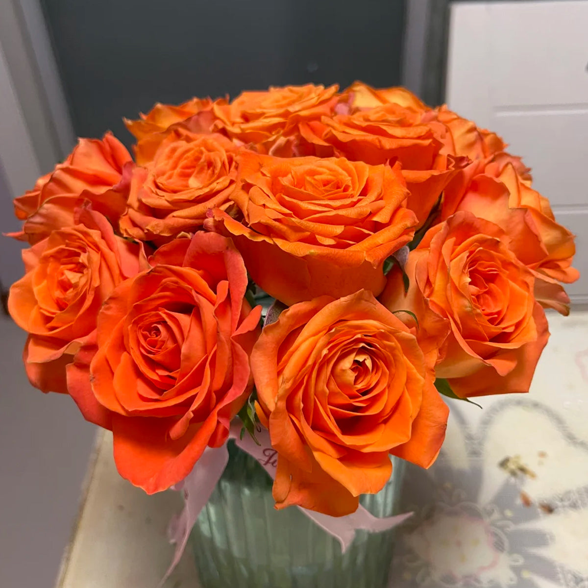 King's Day Netherlands Florist Shrub Rose Bush For Sale – Highgarden Roses