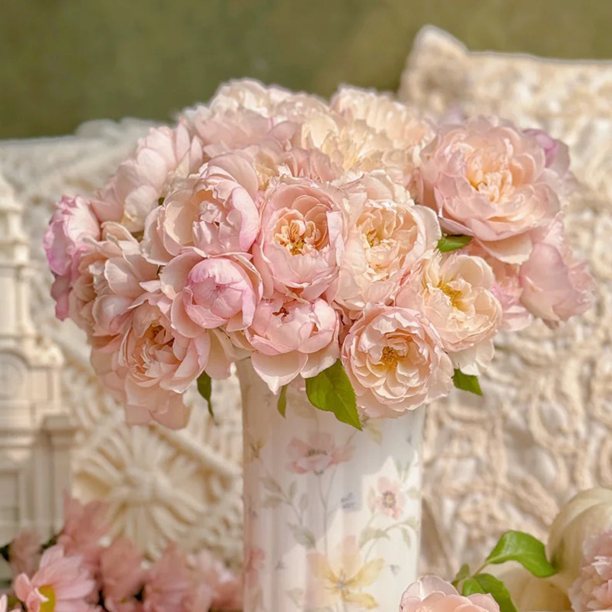 Lady Una Japanese Florist Shrub Rose