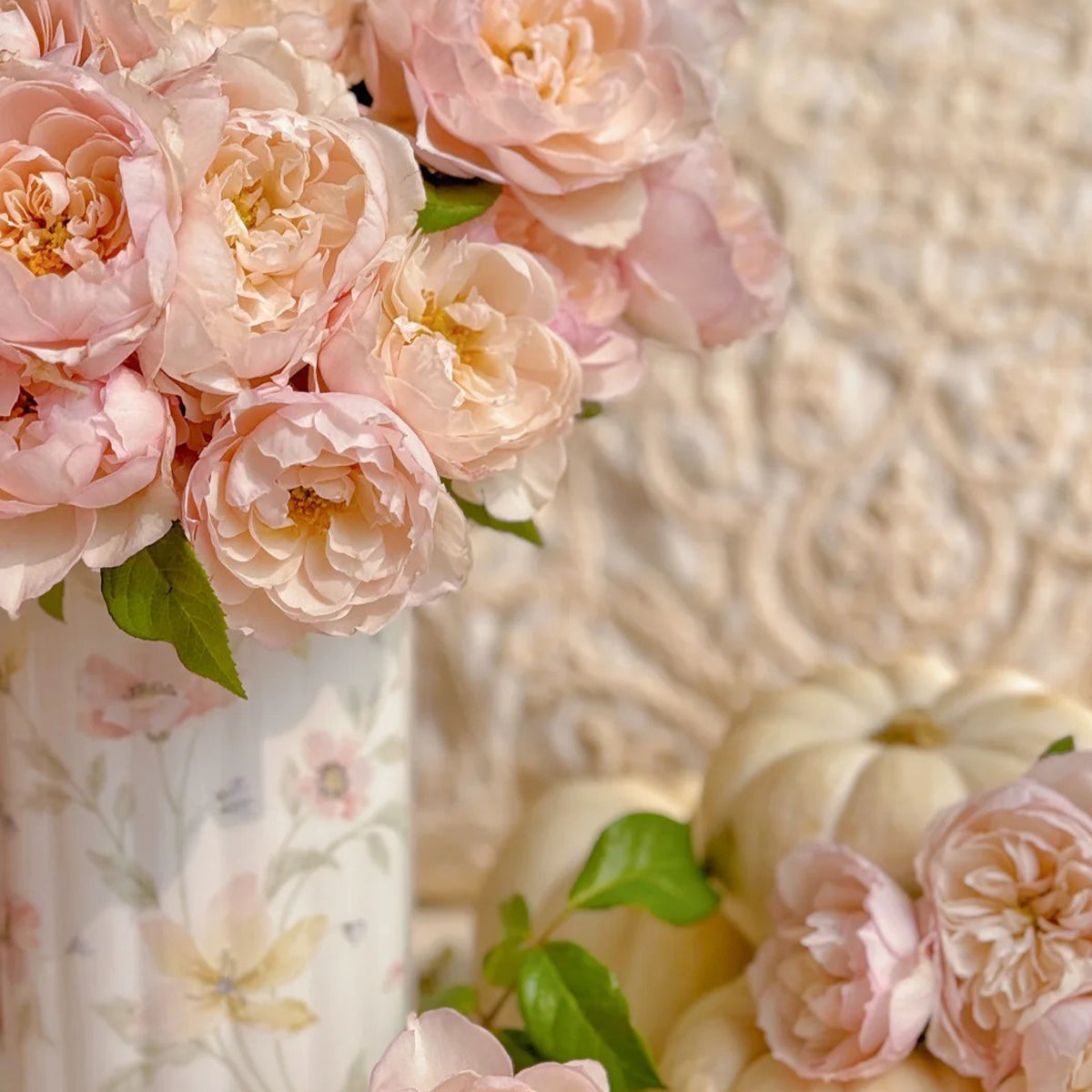 Lady Una Japanese Florist Shrub Rose