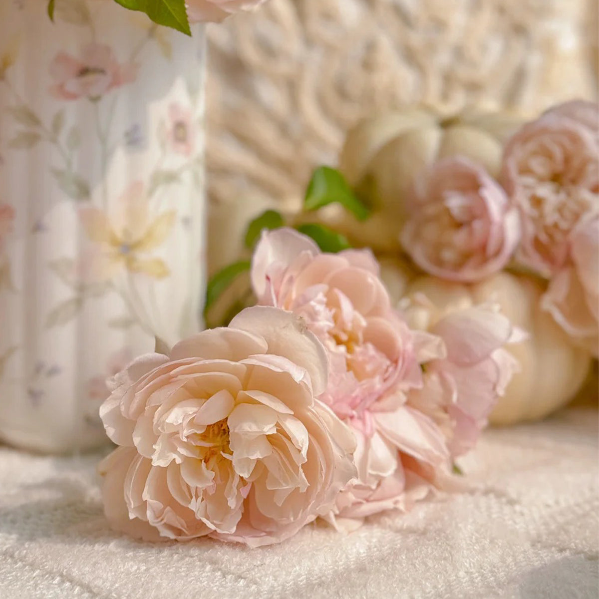 Lady Una Japanese Florist Shrub Rose