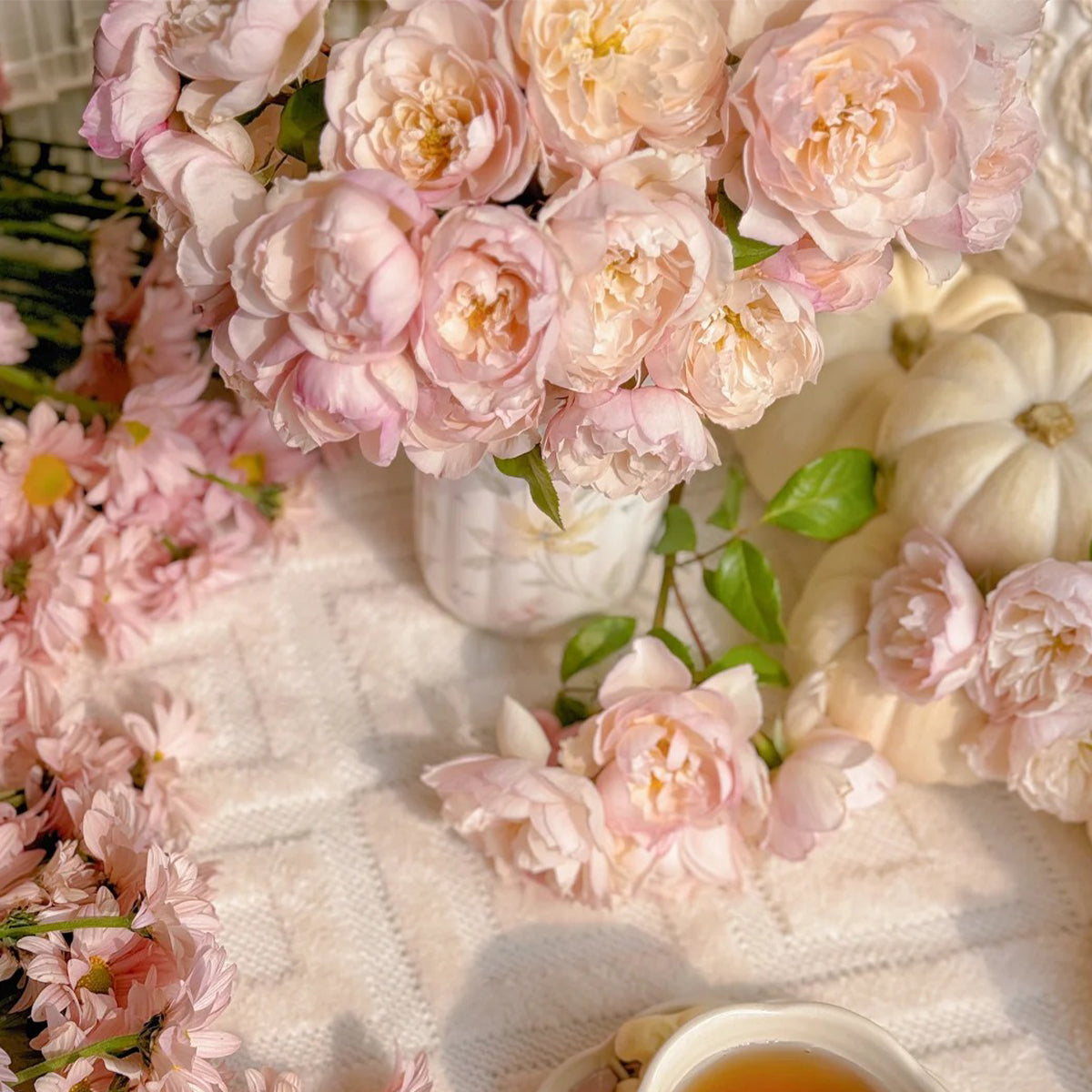 Lady Una Japanese Florist Shrub Rose