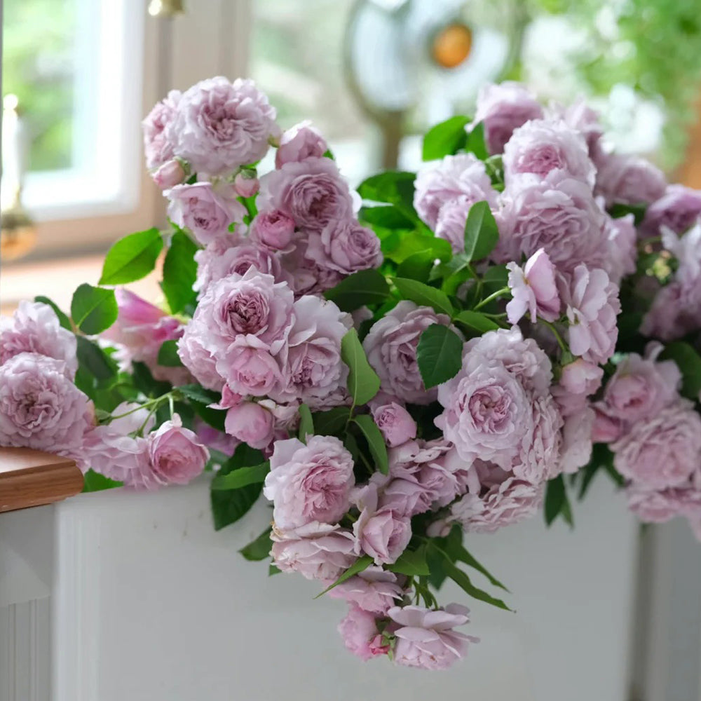 Lavender Bouquet Japanese Florist Climbing Rose