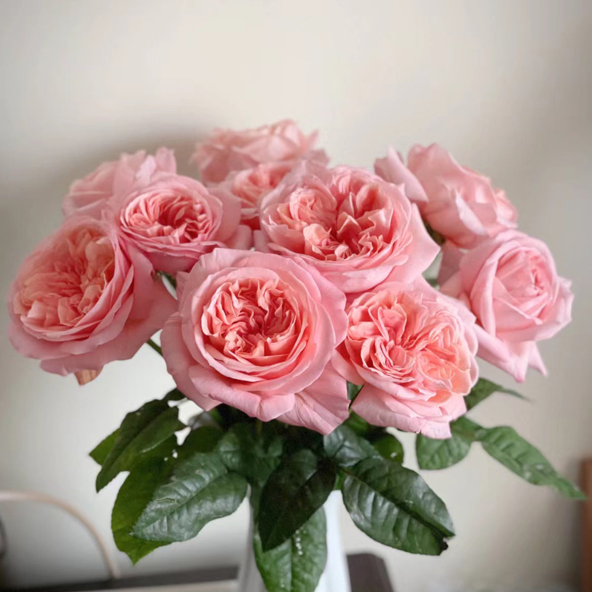 London Eye Dutch Florist Shrub Rose