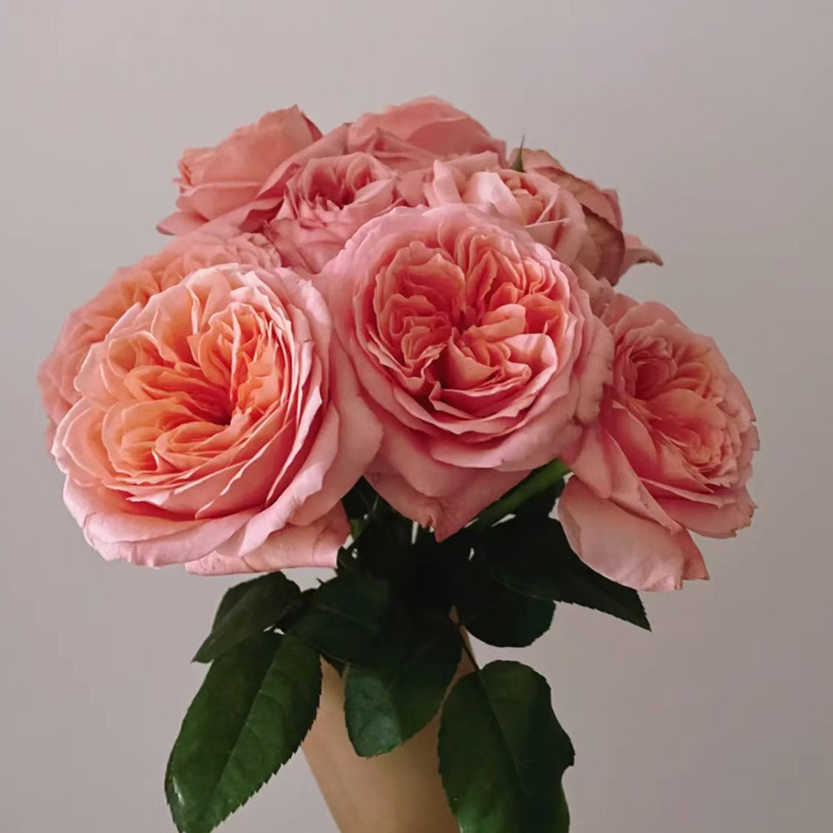 London Eye Dutch Florist Shrub Rose