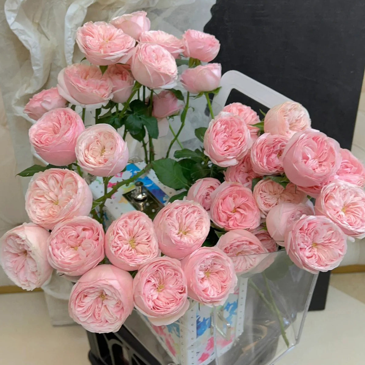 Dutch Florist Shrub Rose Inspired by Mansfield Park