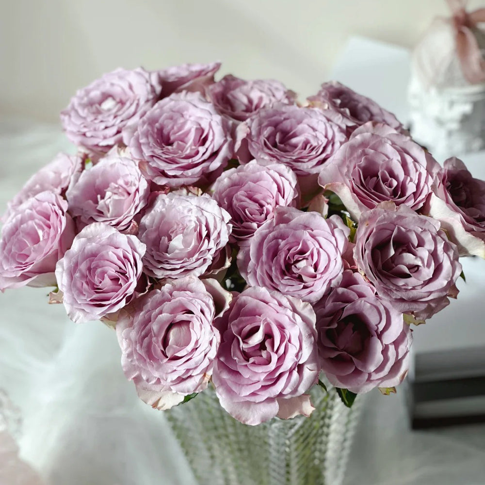 Memory Lane Netherlands Florist Shrub Rose