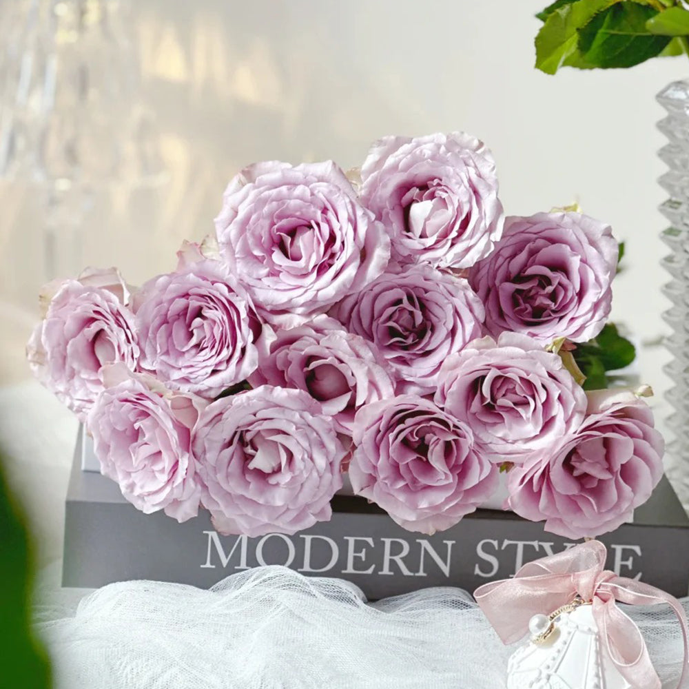 Memory Lane Netherlands Florist Shrub Rose