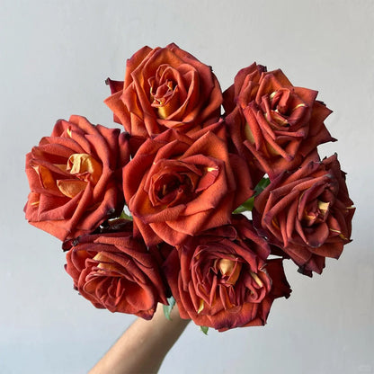 Meteor German Florist Shrub Rose