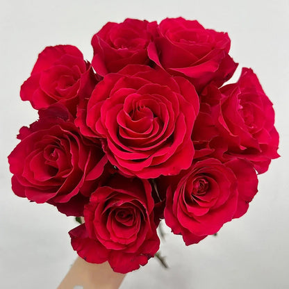 Michael Japanese Florist Shrub Rose
