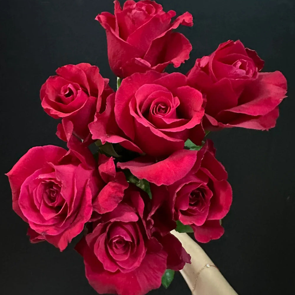 Michael Japanese Florist Shrub Rose
