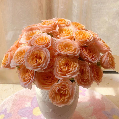 Mickey Netherlands Florist Shrub Rose