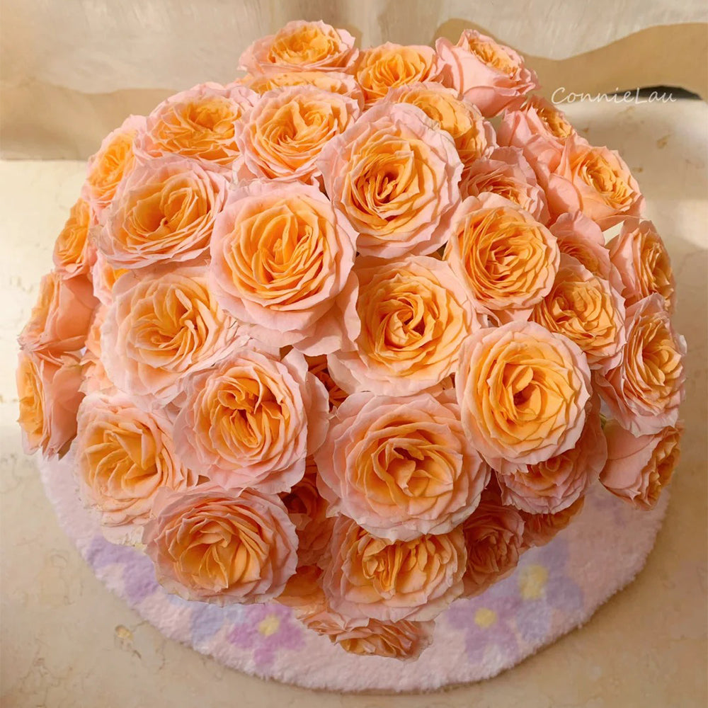 Mickey Netherlands Florist Shrub Rose