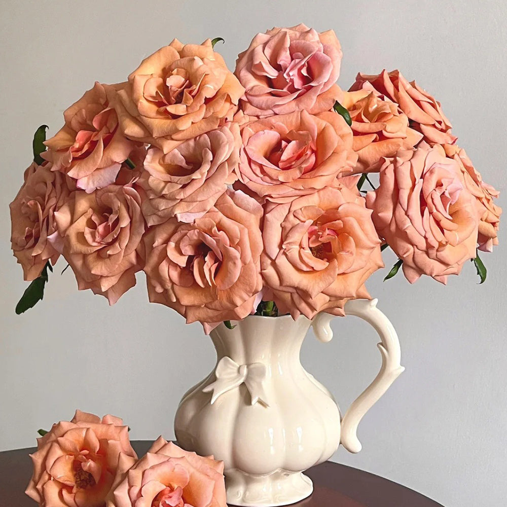 Moab Ecuador Florist Shrub Rose