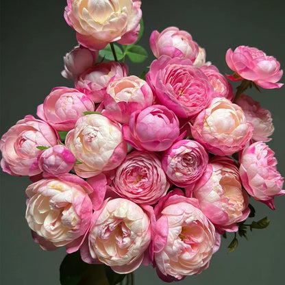 Mon Amour Japanese Florist Shrub Rose