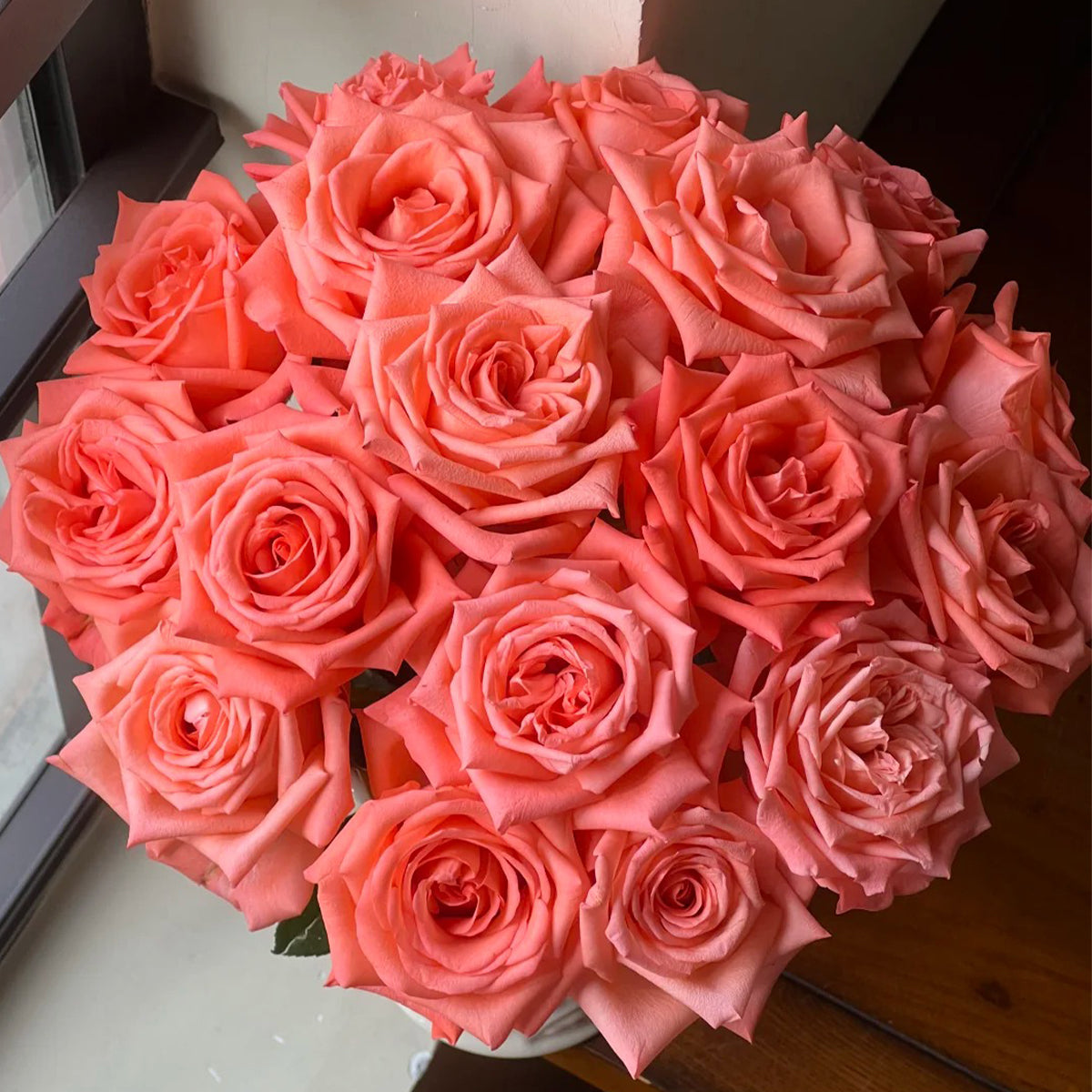 Movie Star German Florist Shrub Rose