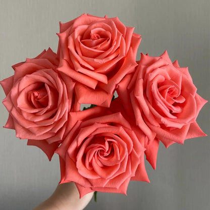 Movie Star German Florist Shrub Rose