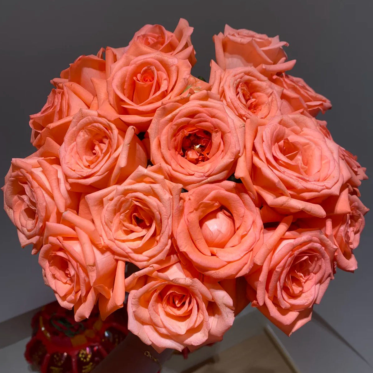Movie Star German Florist Shrub Rose