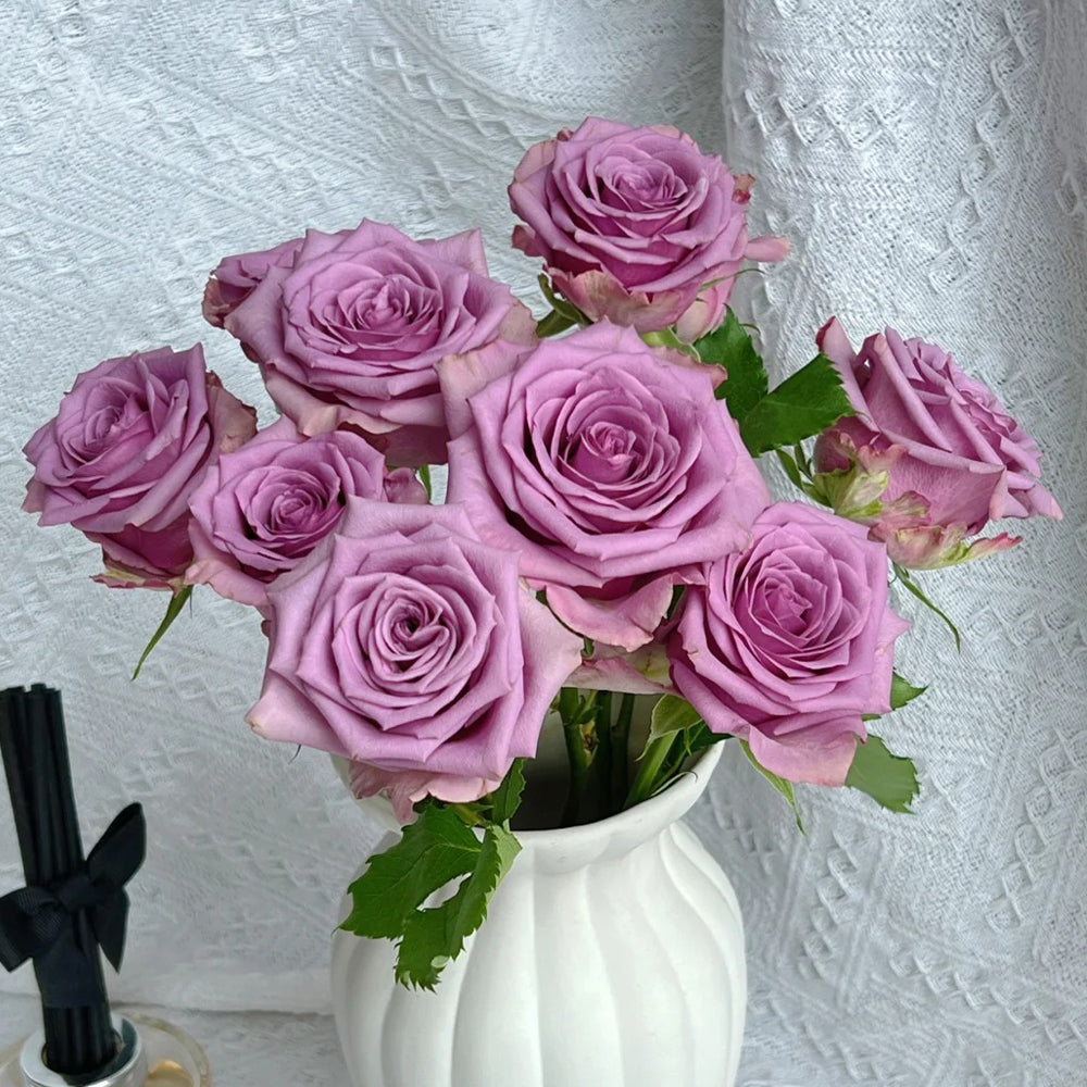 Nightingale Netherlands Florist Shrub Rose