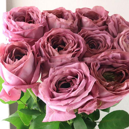 Pablo Vase Japanese Florist Shrub Rose