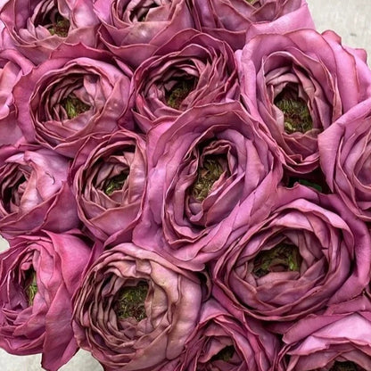 Pablo Vase Japanese Florist Shrub Rose