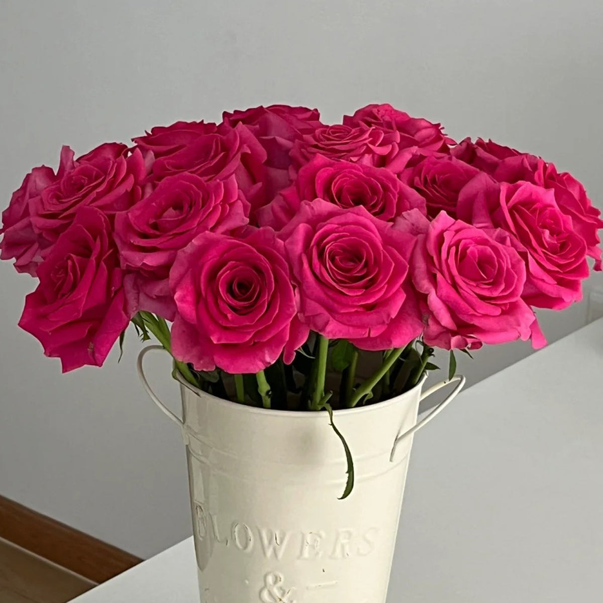 Dutch Florist Shrub Rose Inspired by Pink Floyd – Highgarden Roses